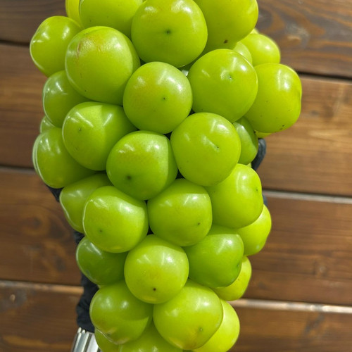 Виноград Shine Muscat